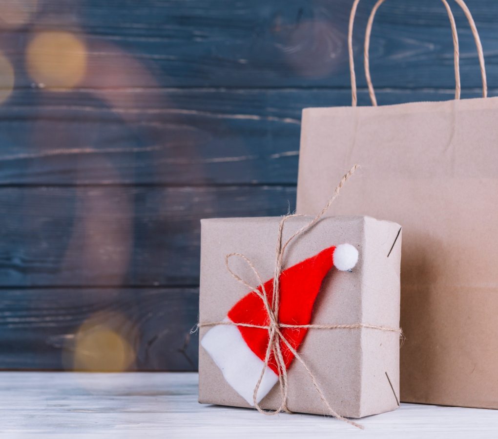 gift paper bag 2